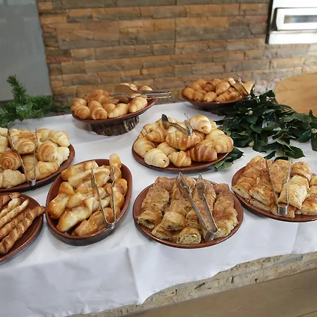 Hotel Stara Planina 4*