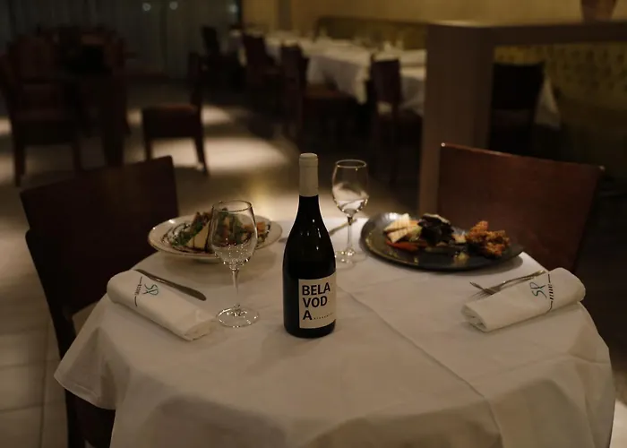 Stara Planina فندق